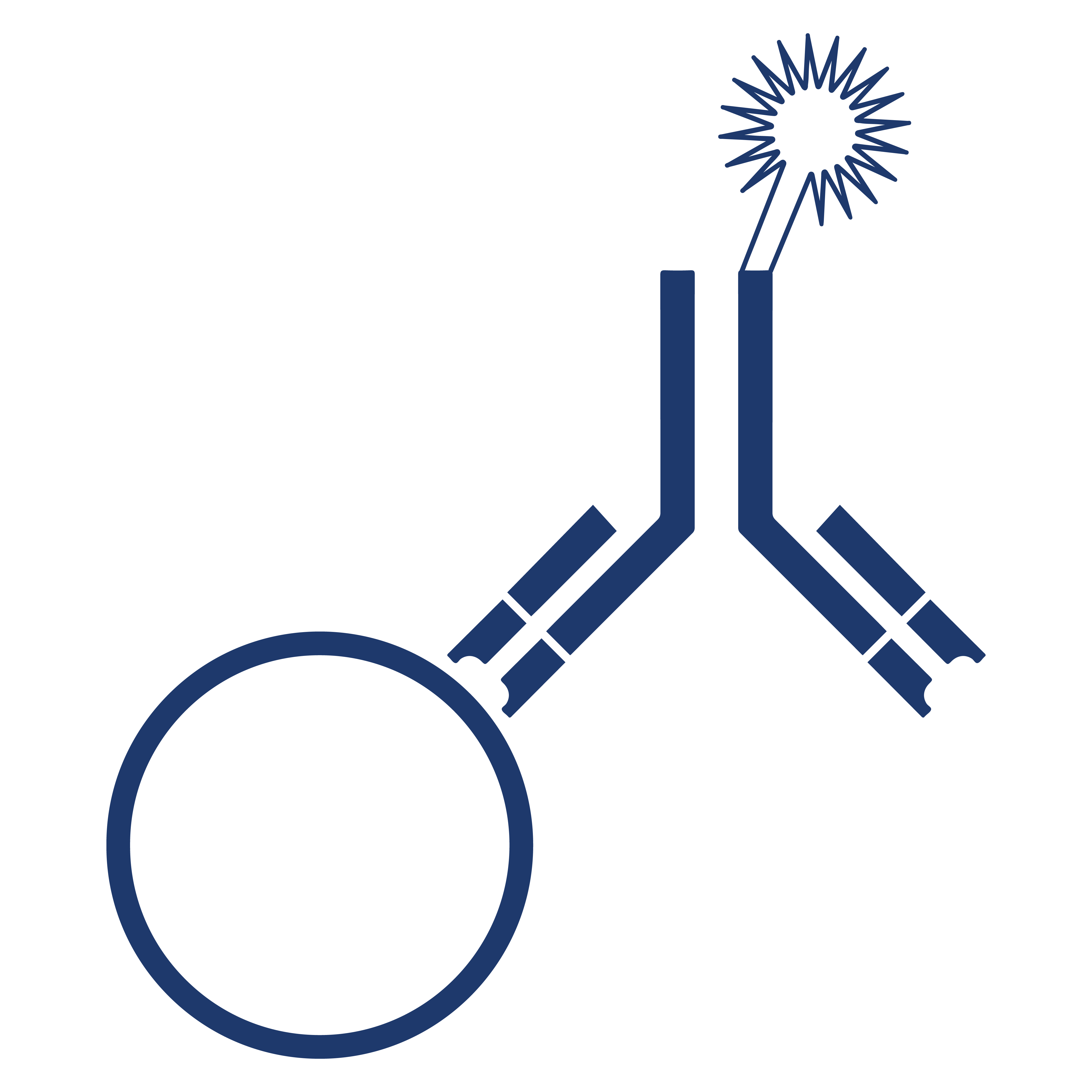 Immunoassay
